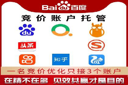 电商SEM推广案例解析